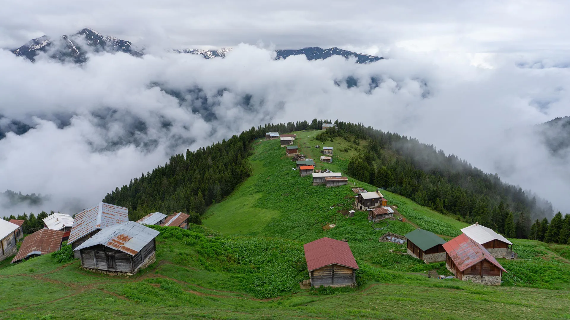 Batıdan Doğuya Karadeniz Turu blog-image