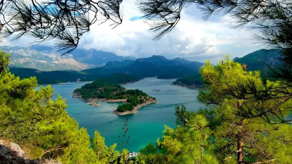 blog-image