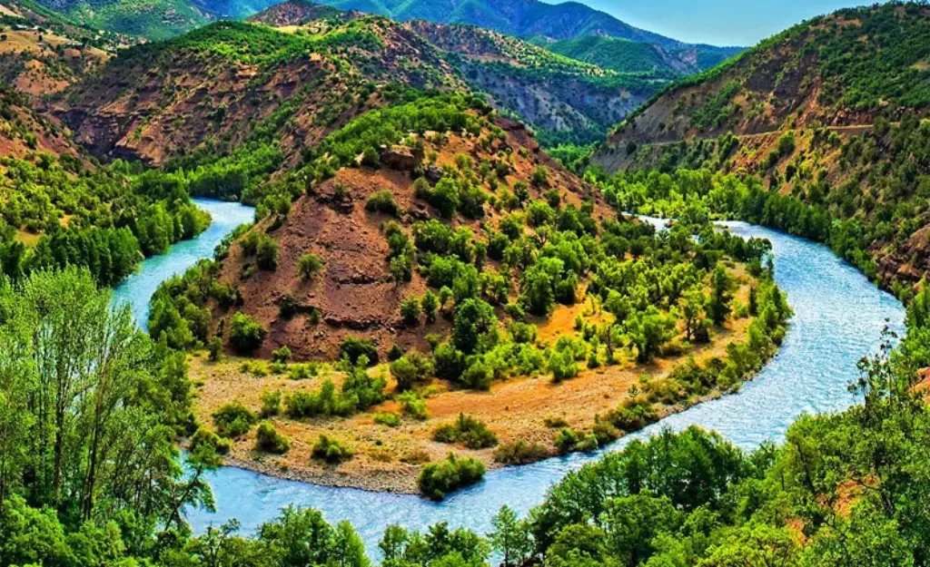blog-image