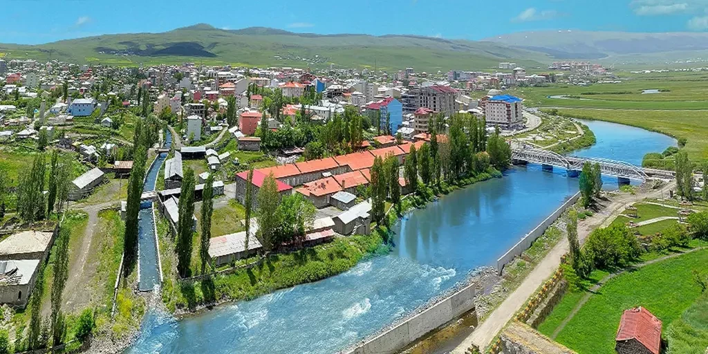 blog-image