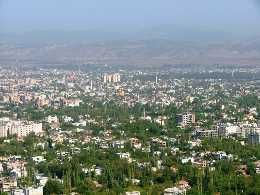 blog-image