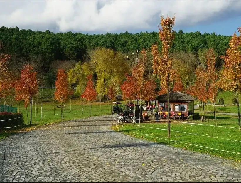 blog-image