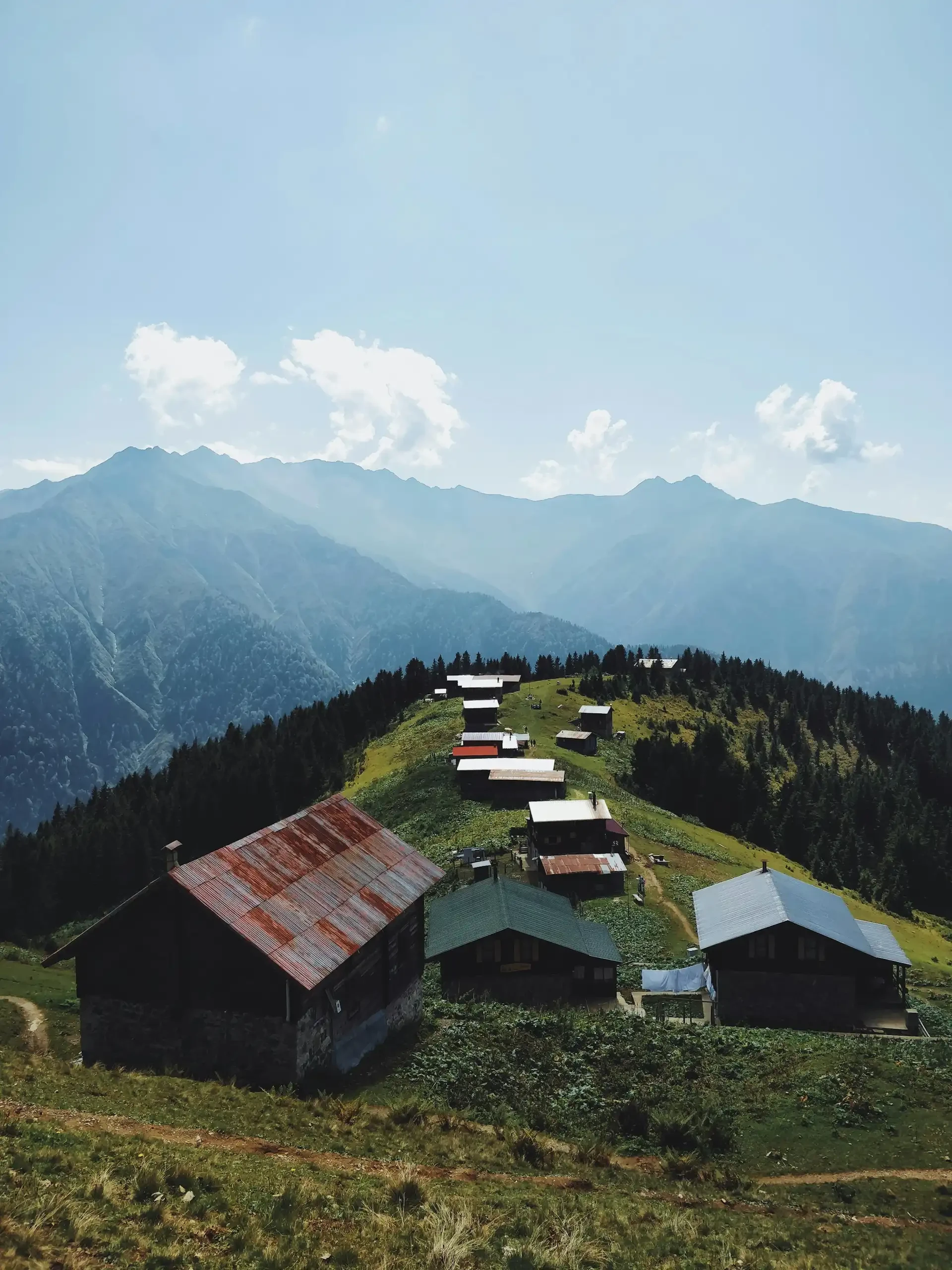 blog-image