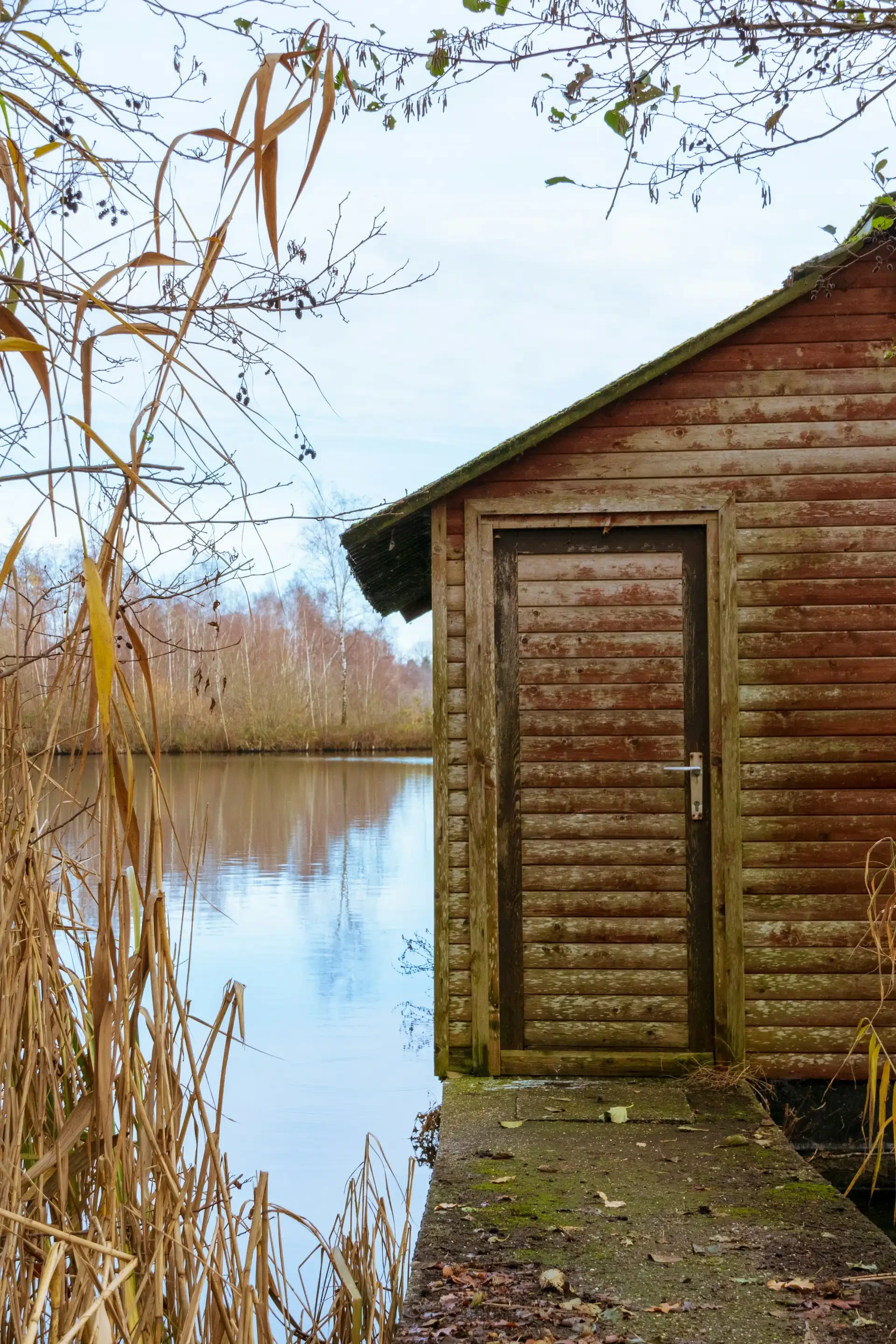 blog-image