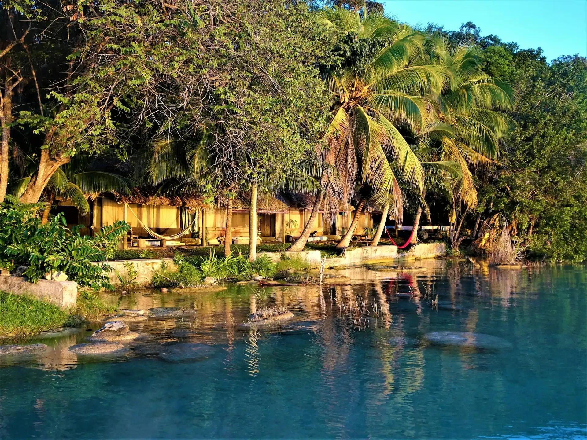 blog-image