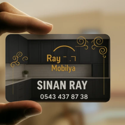 Ray Mobilya