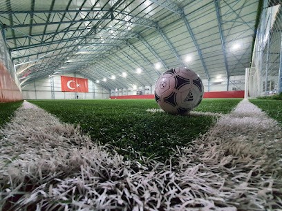 Mavi Beyaz Halı Saha