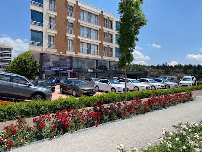 Demir Otomotiv