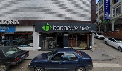 Doğu Hali