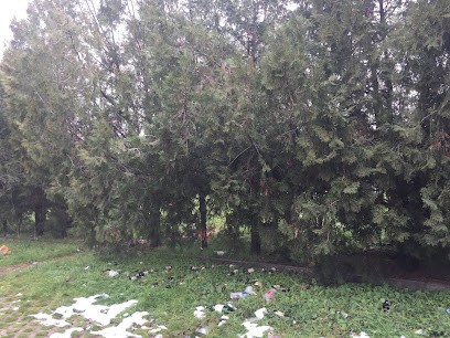 Bursa Ak İlaçlama