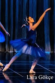 A Plus Dans&Sanat Akademi