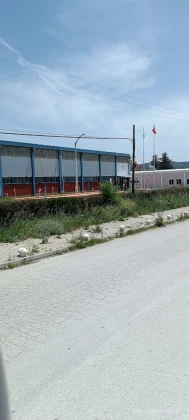 Abs Alçı