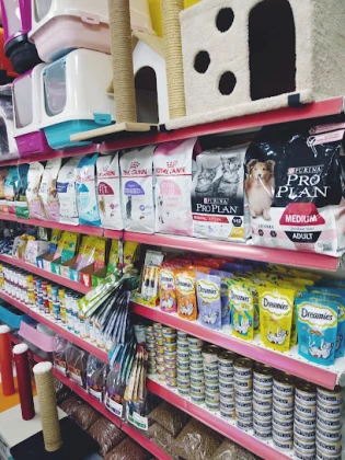 Ali Baba Petshop