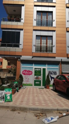 Alice Pet Shop