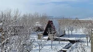 Ararat Garden
