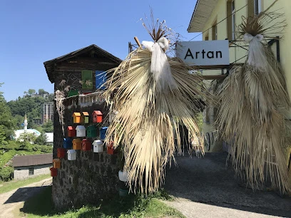 Artan Plato