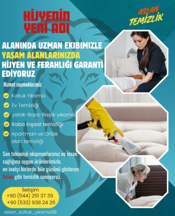 Aslan Temizlik