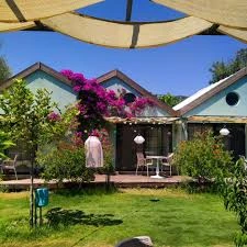 Avlu Tiny Houses