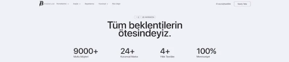 Backlink Danışmanı
