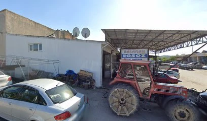 Başaran Eksoz