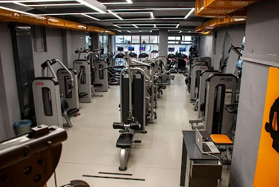 Best Of Fitness
