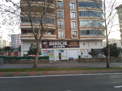 Biricik Akademi