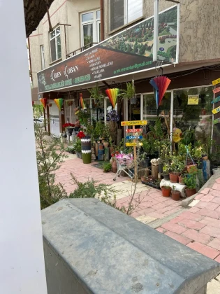Ceren Peyzaj Ve Çiçekçilik
