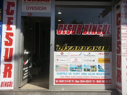 Cesur Bingöl