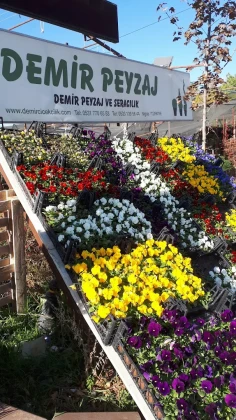 Demir Peyzaj Niğde
