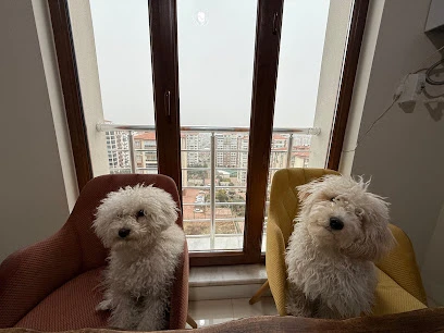 Doğa Pet Veteriner Kliniği