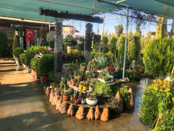 Doğa Peyzaj Osmaniye