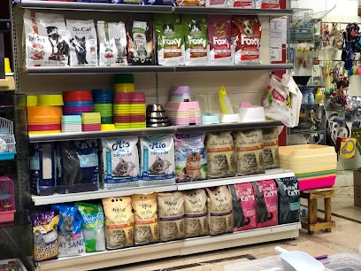 Dokuz Petshop
