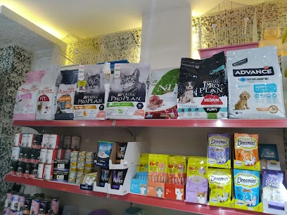 Düşler Petshop