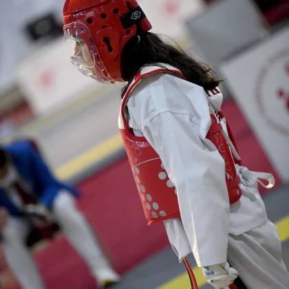 Ergün Spor Klübü