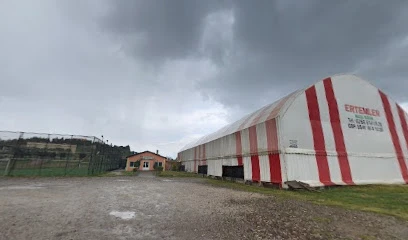 Ertemler Halı Saha