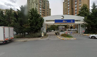 Etil Alkol