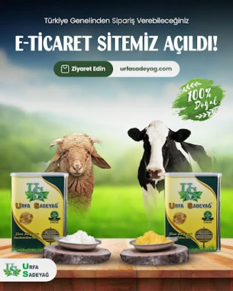 Forse Reklam Ve Bilgi Ajansı Eskişehir Web Tasarım