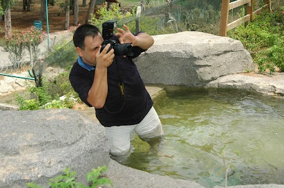 Foto Alyans Tarsus