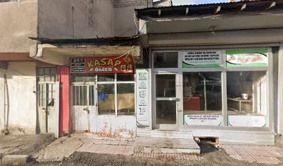 Gezegen Web