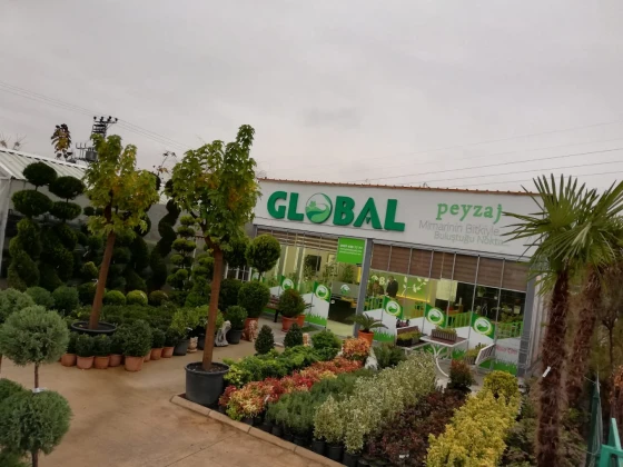 Global Peyzaj