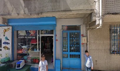 Hobby Akvaryum