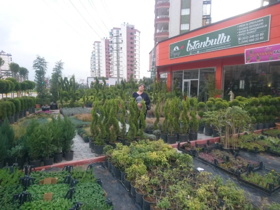 İstanbullu Peyzaj