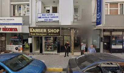 Kaya Elektronik