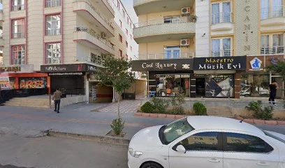 Maestro Müzik Evi
