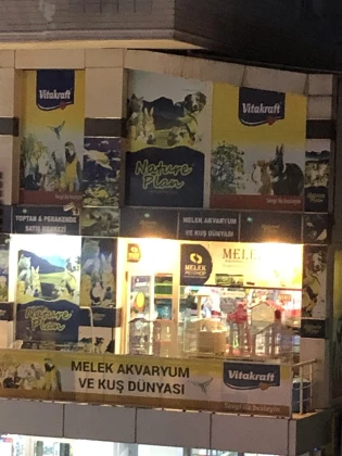 Melek Akvaryum