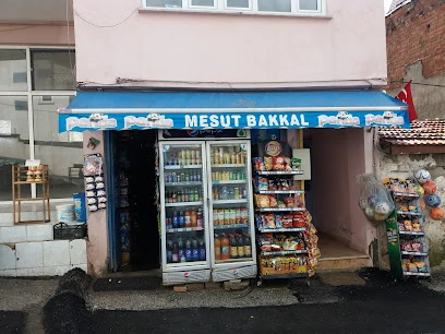 Mesut Bakkal