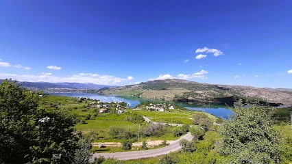 Munzur Üniversitesi