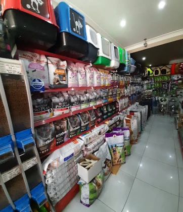 My Jumbo Petshop ( Alo Mama )
