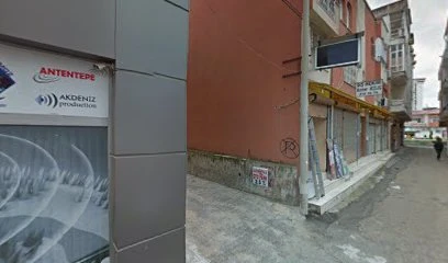 Netses Elektronik