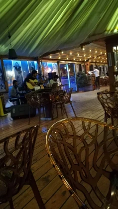 Own Kafe Bar